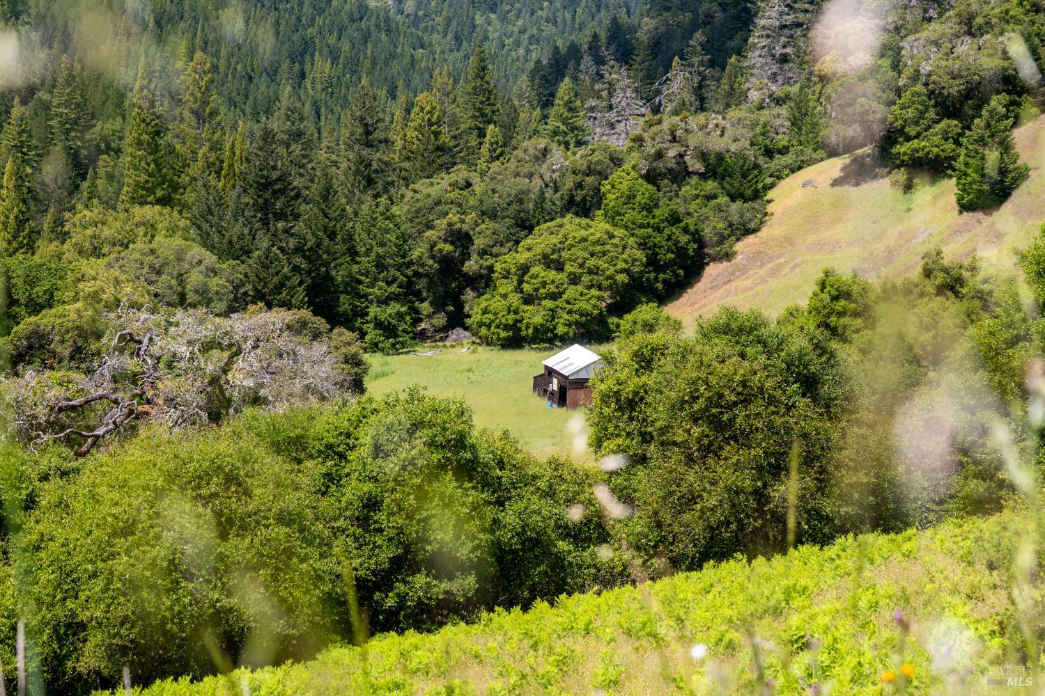10500 Peachland Road Boonville, CA 95415 - Photo 8 of 67