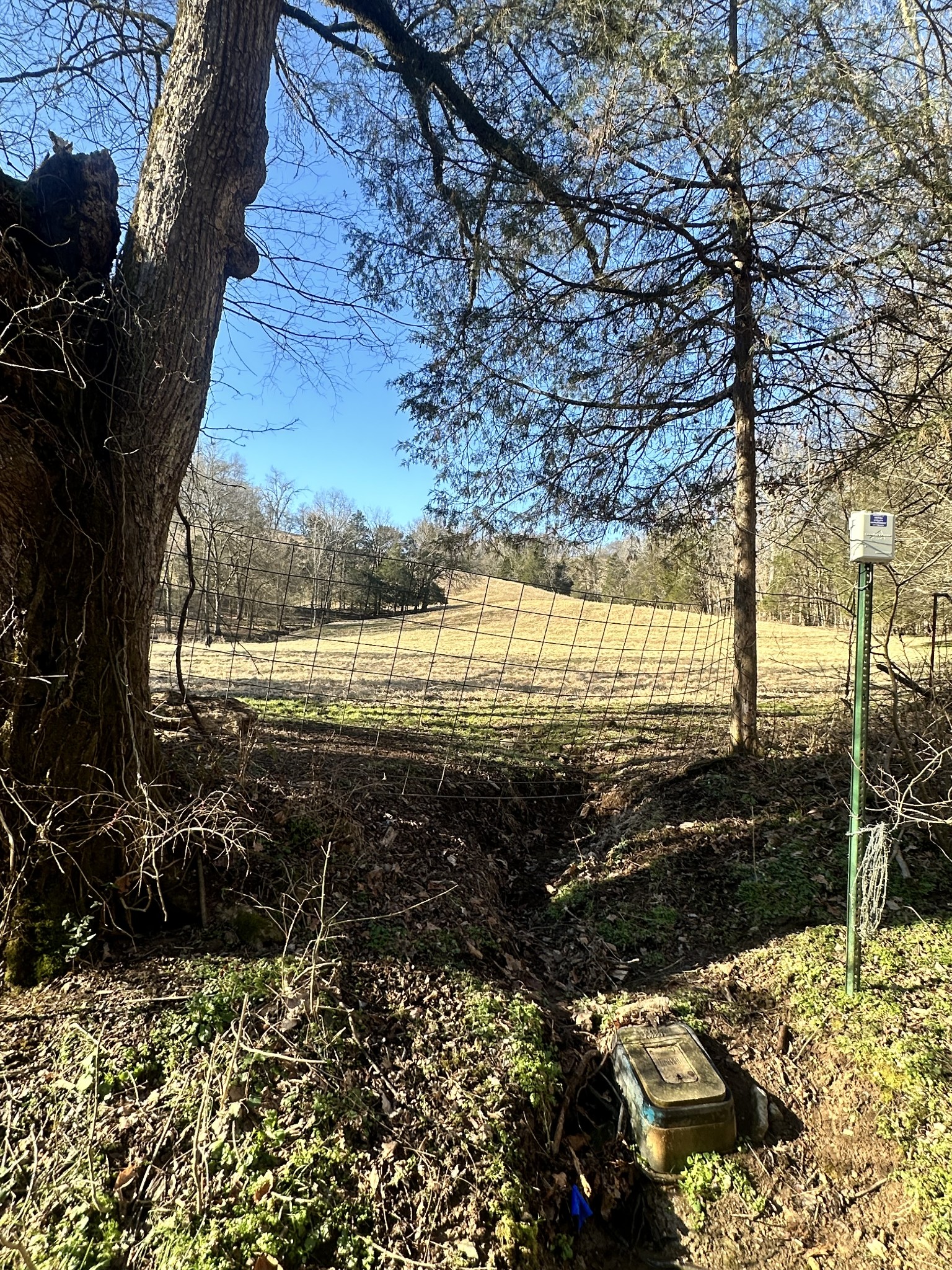 0 Oak Grove Road Belvidere, TN 37306 - Photo 6 of 17