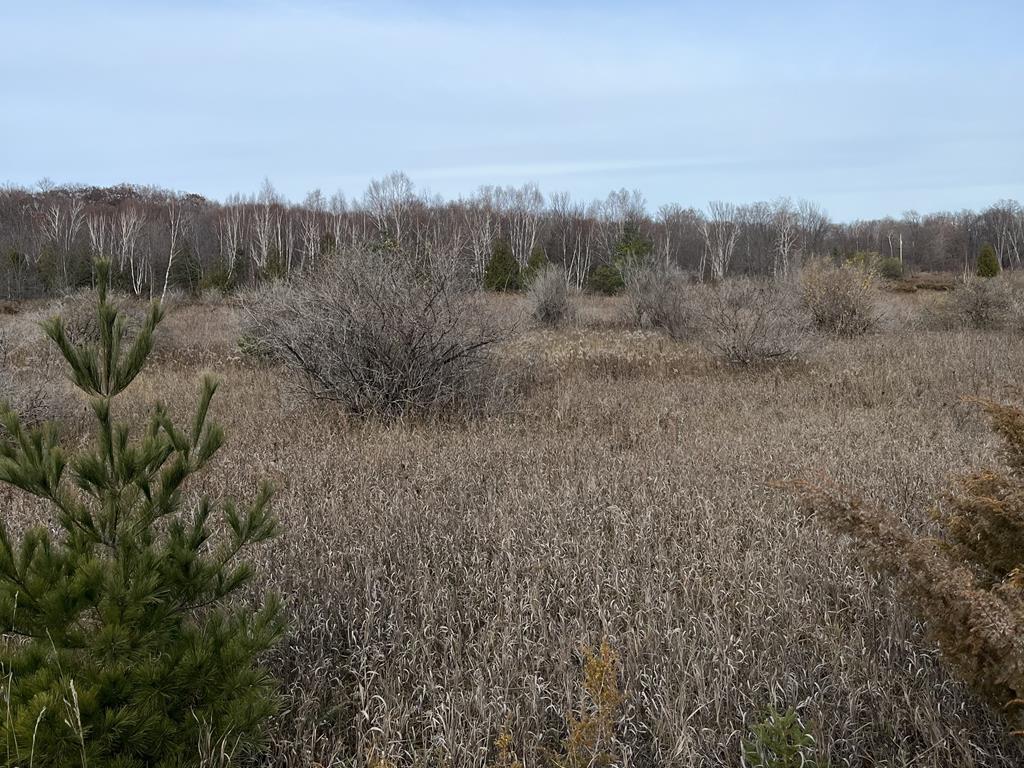 Orchard Road Fish Creek, WI 54212 - Photo 1 of 2
