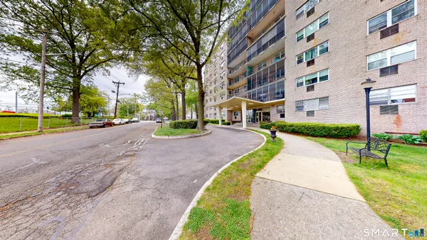 a view of a park with large trees