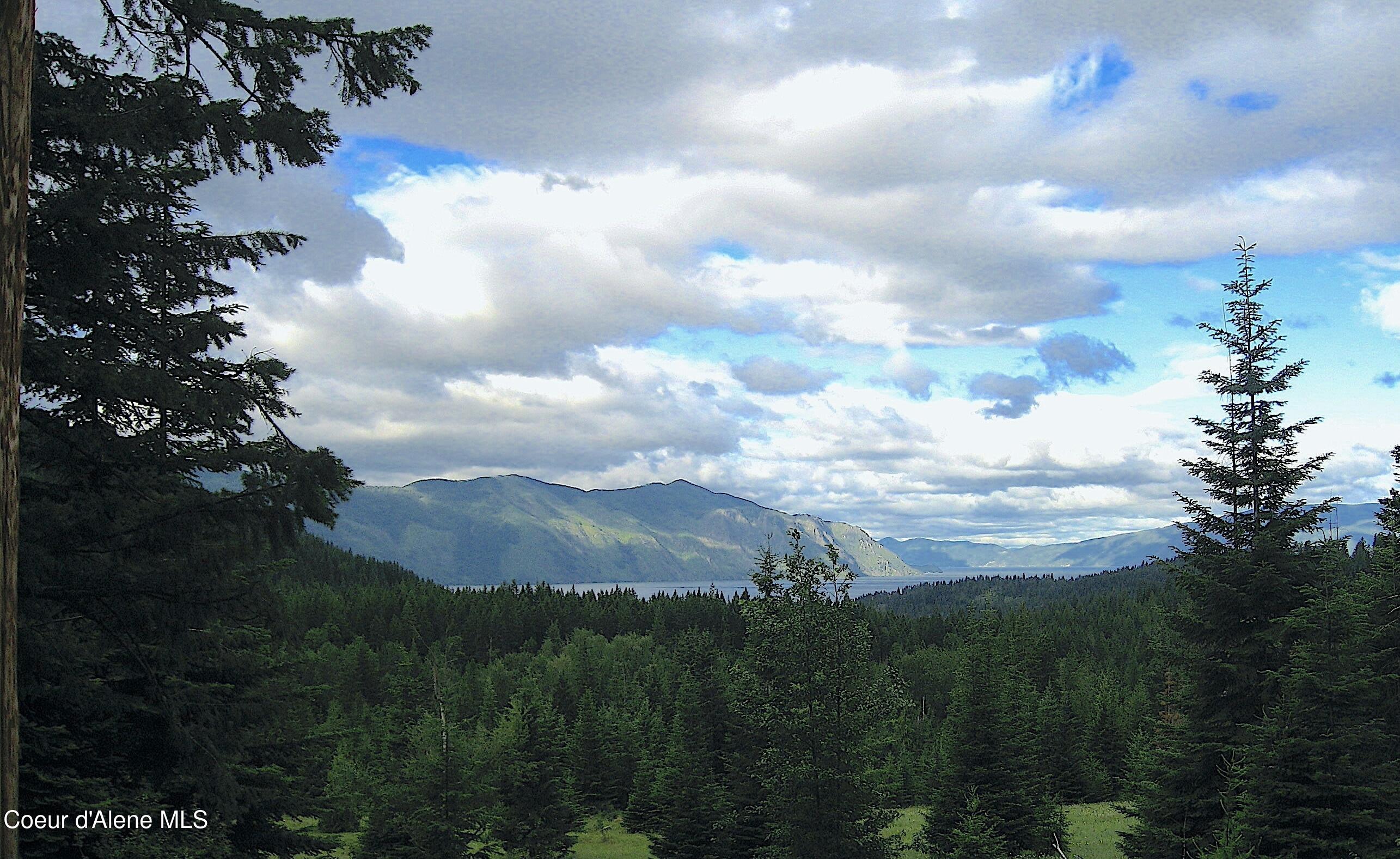 2132 West Spring Creek Road Hope, ID 83836 - Photo 4 of 30 SummerCloudsView