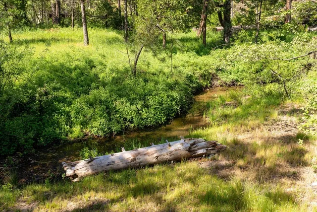 a view of a back yard of the house