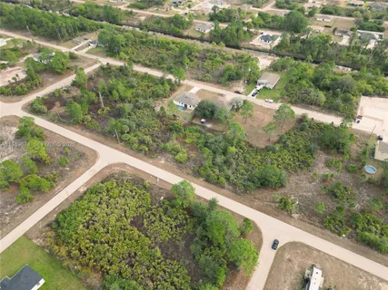 a view of a garden with a pathway