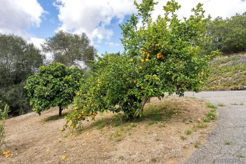 $800,000 | 2557 Live Oak Park Road, Fallbrook, CA 92028