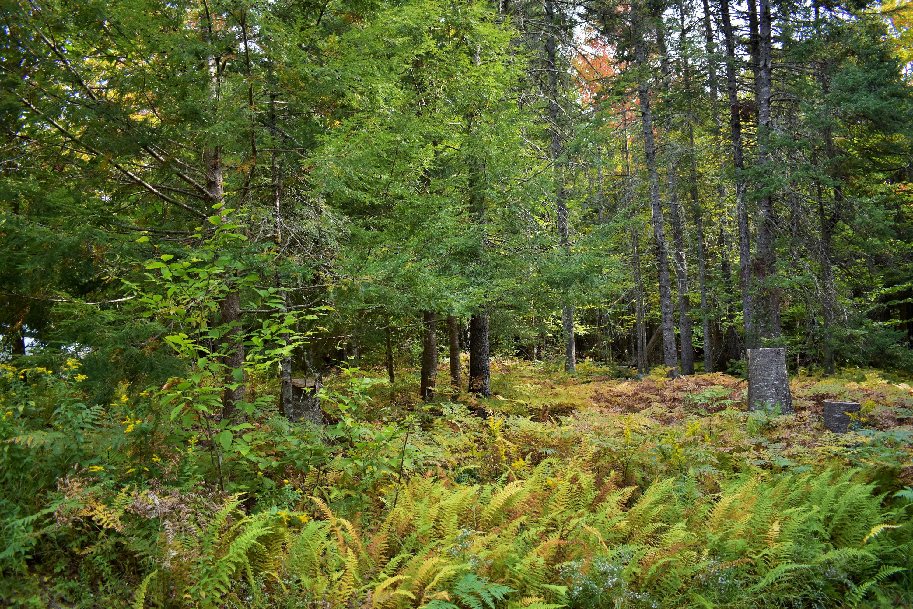 67 Camp Road St. Albans, ME 04971 - Photo 25 of 26 24