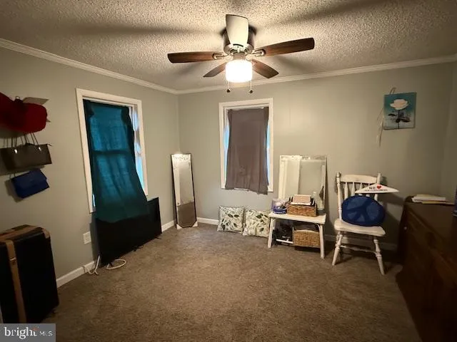 a room with furniture and a window