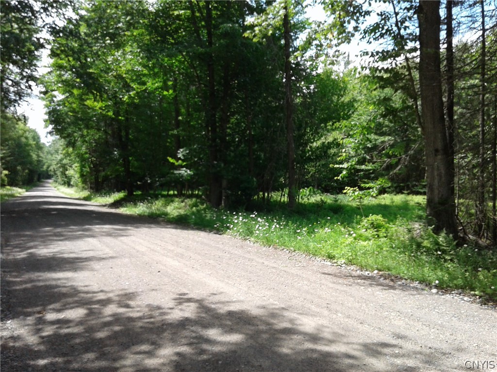 0 Unclemier Road Ohio, NY 13324 - Photo 1 of 1 Gallery Image 1