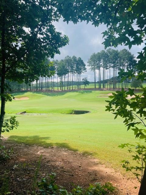 124 Hawks Court Ball Ground, GA 30107 - Photo 2 of 13