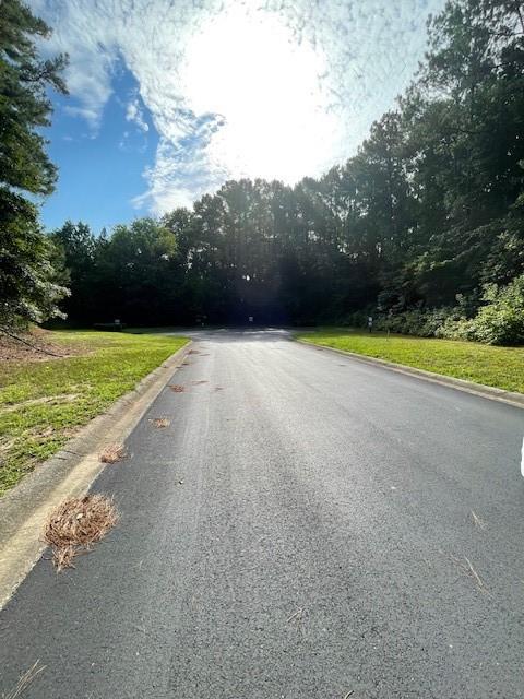 124 Hawks Court Ball Ground, GA 30107 - Photo 3 of 13