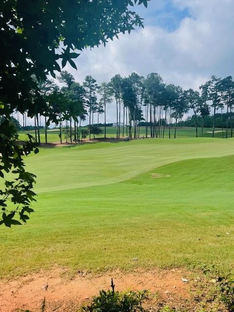 124 Hawks Court Ball Ground, GA 30107 - Photo 4 of 13