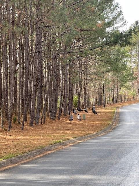 124 Hawks Court Ball Ground, GA 30107 - Photo 8 of 13