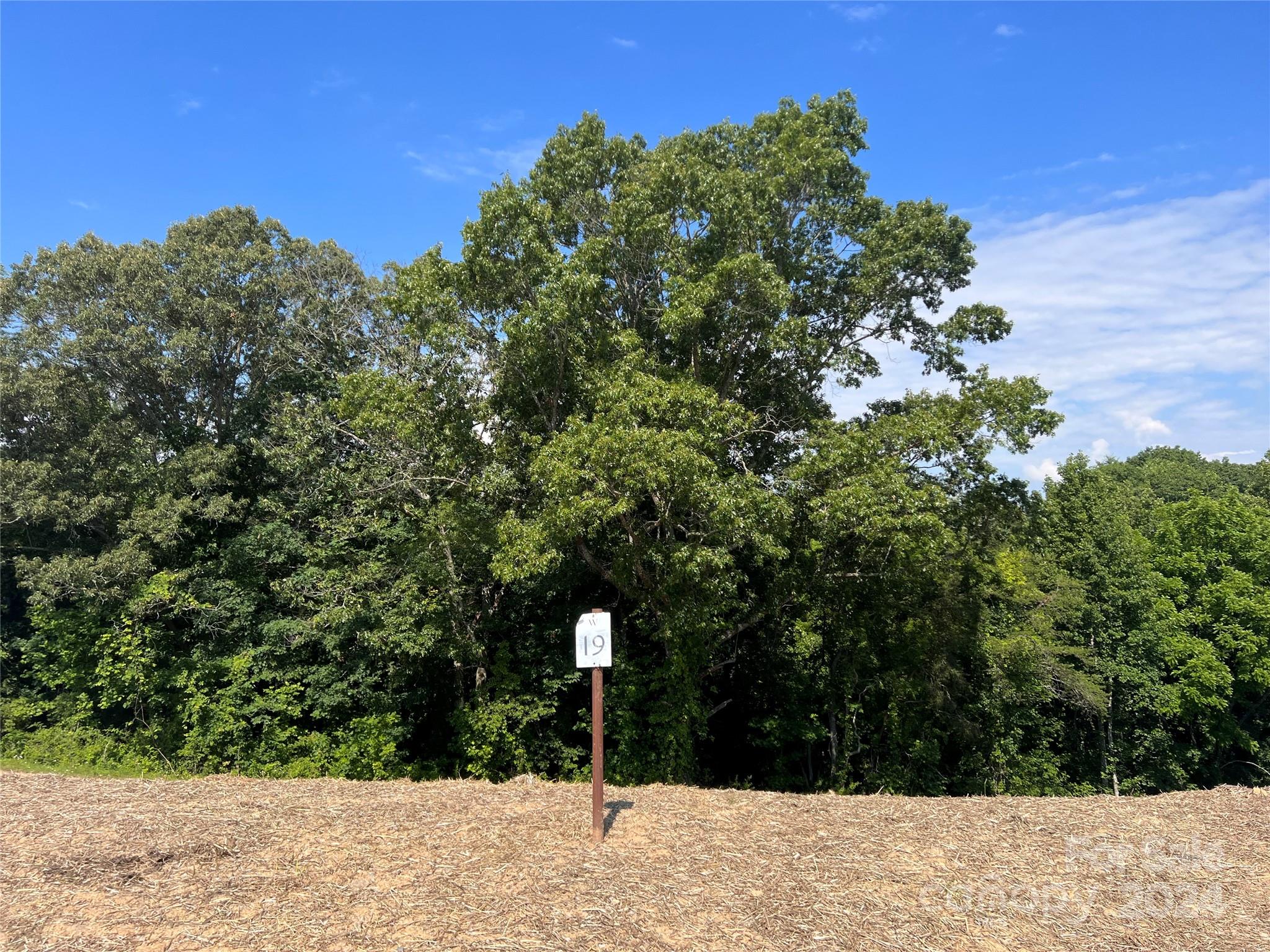 240 Westridge Farm Road, Unit 19 Asheville, NC 28804 - Photo 1 of 31 a view of a yard