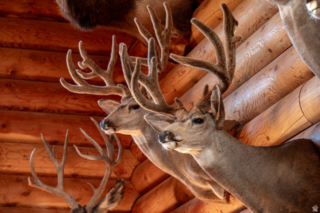 1955 West Mammoth Crk Road Hatch, UT 84735 - Photo 2 of 52 Trophy mule deer from the property