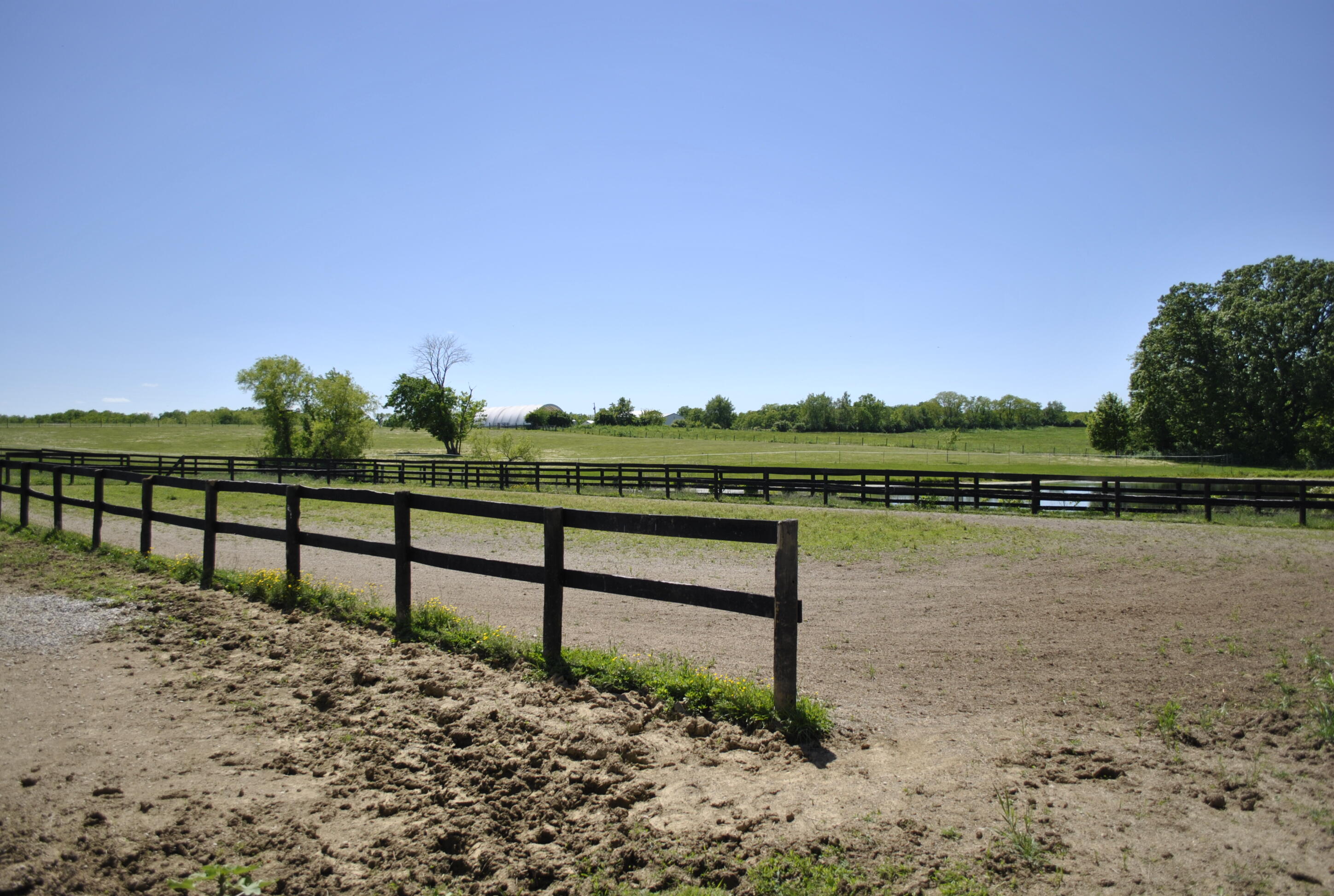 337 Collins Road Paris, KY 40361 - Photo 88 of 96 _DSC8778