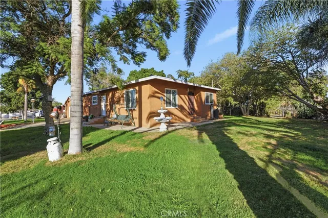 a street view with large trees