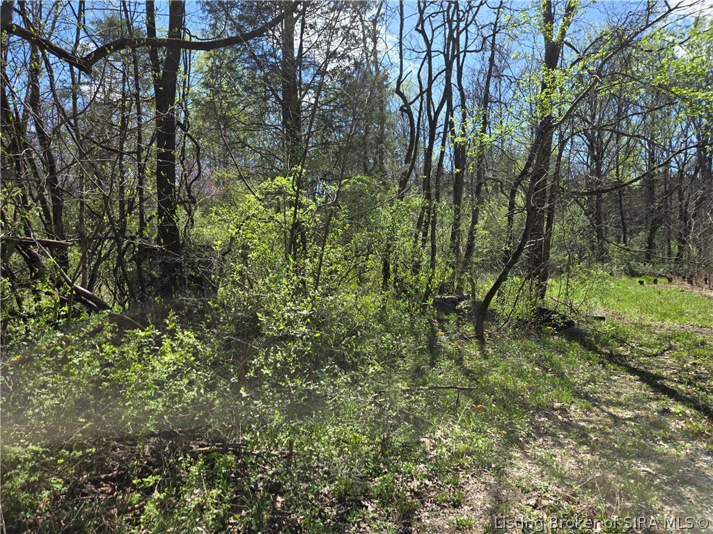 8172 Dukes Road Northwest Depauw, IN 47115 - Photo 2 of 5