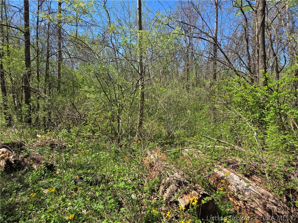 8172 Dukes Road Northwest Depauw, IN 47115 - Photo 3 of 5