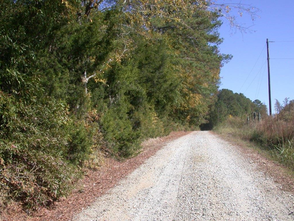 - Larkin Rice Road Saluda, SC 29138 - Photo 38 of 70