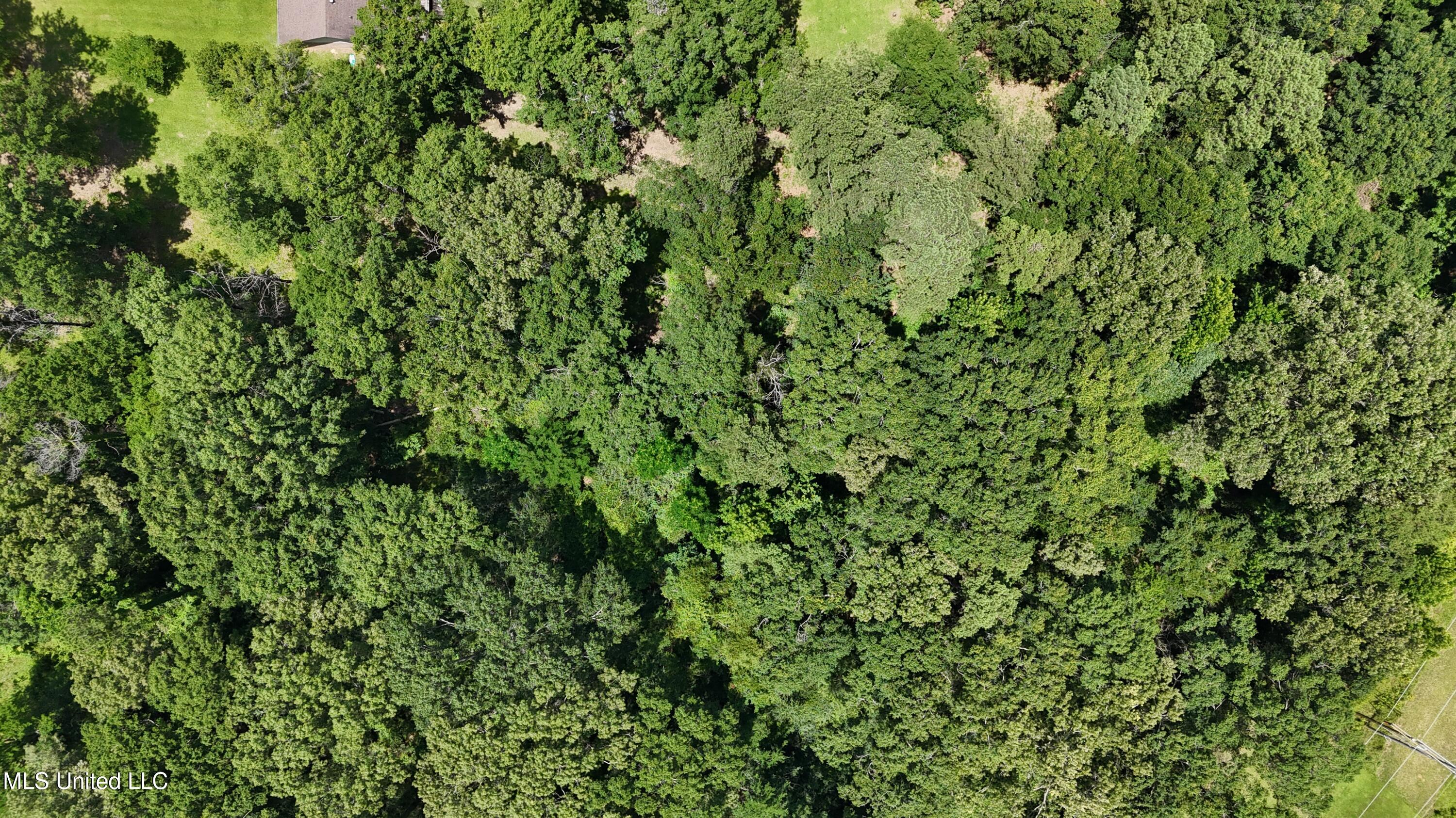 0 Midway Road Terry, MS 39170 - Photo 16 of 22 DJI_20250619113825_0080_D