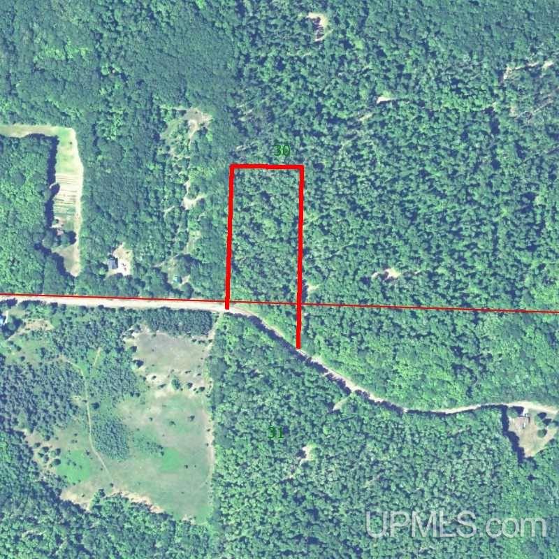 Tbd Coles Creek Road, Unit PARCEL 11 Hancock, MI 49931 - Photo 2 of 12