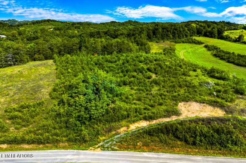 Lot 7 Lonesome Pine Road Bybee, TN 37713 - Photo 3 of 7 lonesome pine 7 3