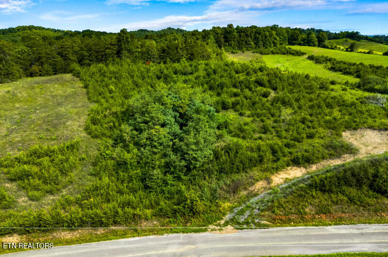 Lot 7 Lonesome Pine Road Bybee, TN 37713 - Photo 4 of 7 lonesome pine 7 2