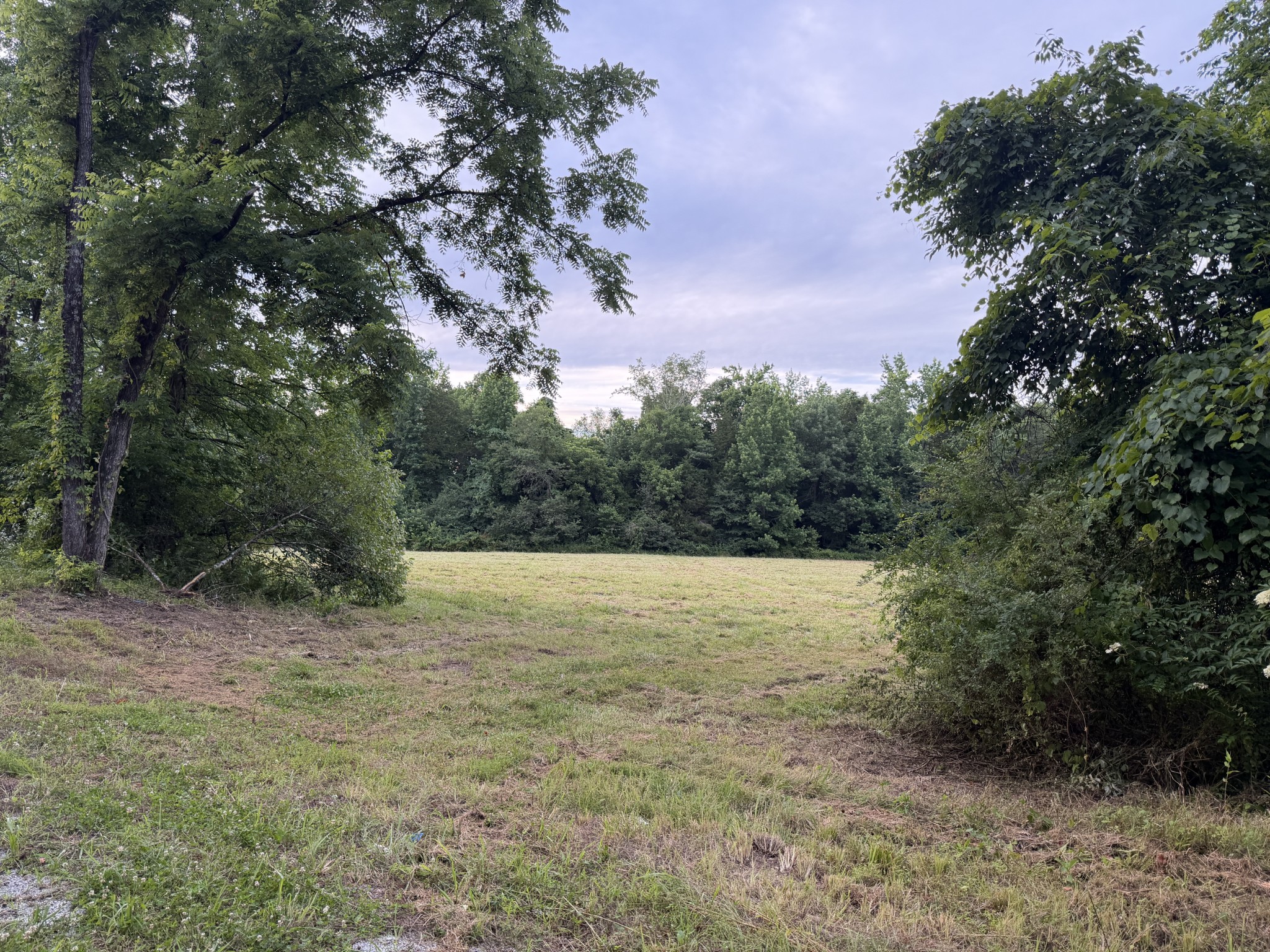 0 Dry Branch Road Holladay, TN 38341 - Photo 8 of 17