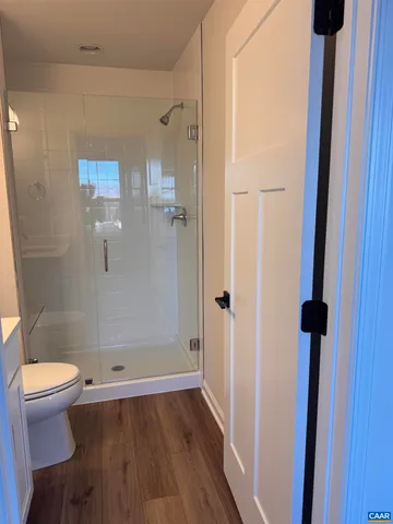 a bathroom with a shower and a toilet