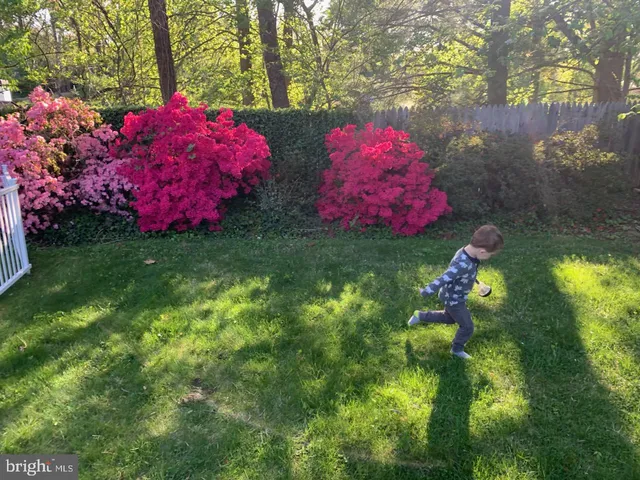 $1,300,000 | 3323 Brooklawn Terrace, Chevy Chase, MD 20815