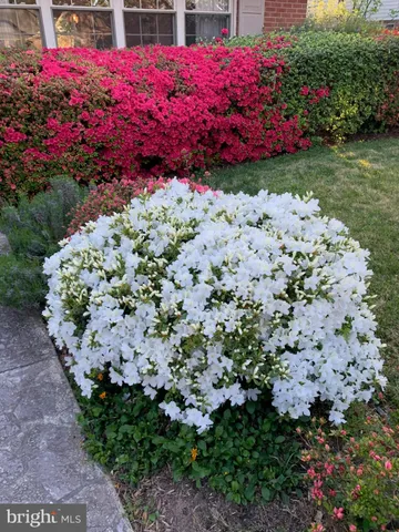 $1,300,000 | 3323 Brooklawn Terrace, Chevy Chase, MD 20815