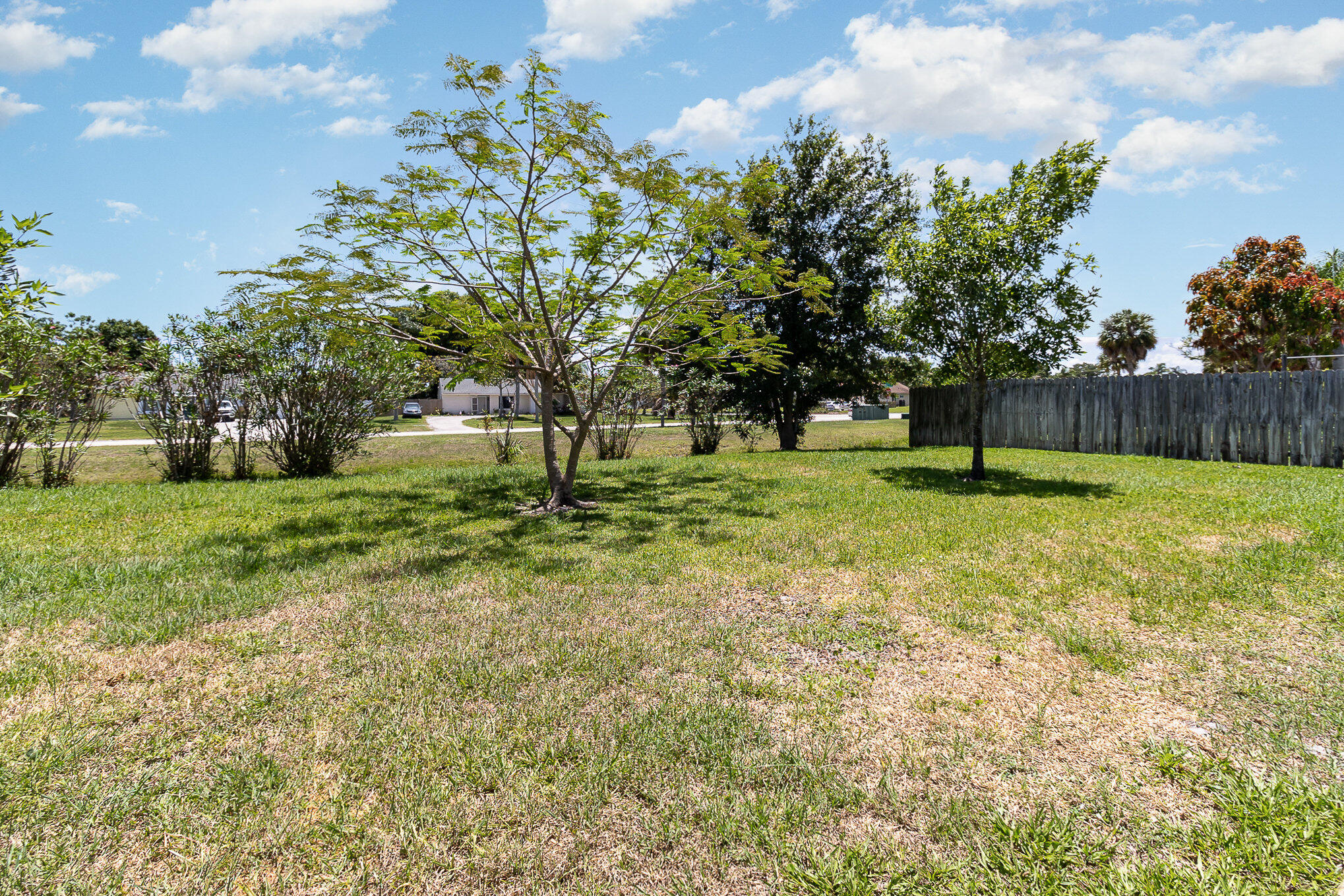 1221 Creel Road Northeast Palm Bay, FL 32905 - Photo 20 of 23 a view of a tree in a yard
