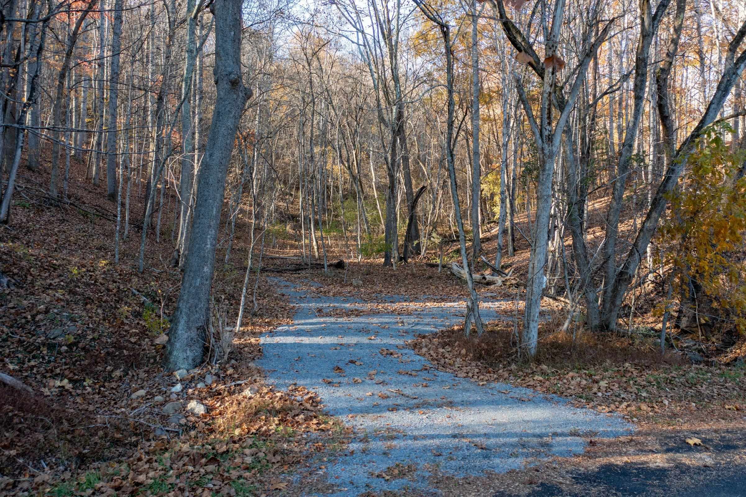 Tbd Jacktown Road Goshen, VA 24439 - Photo 1 of 9 Gallery Image 1