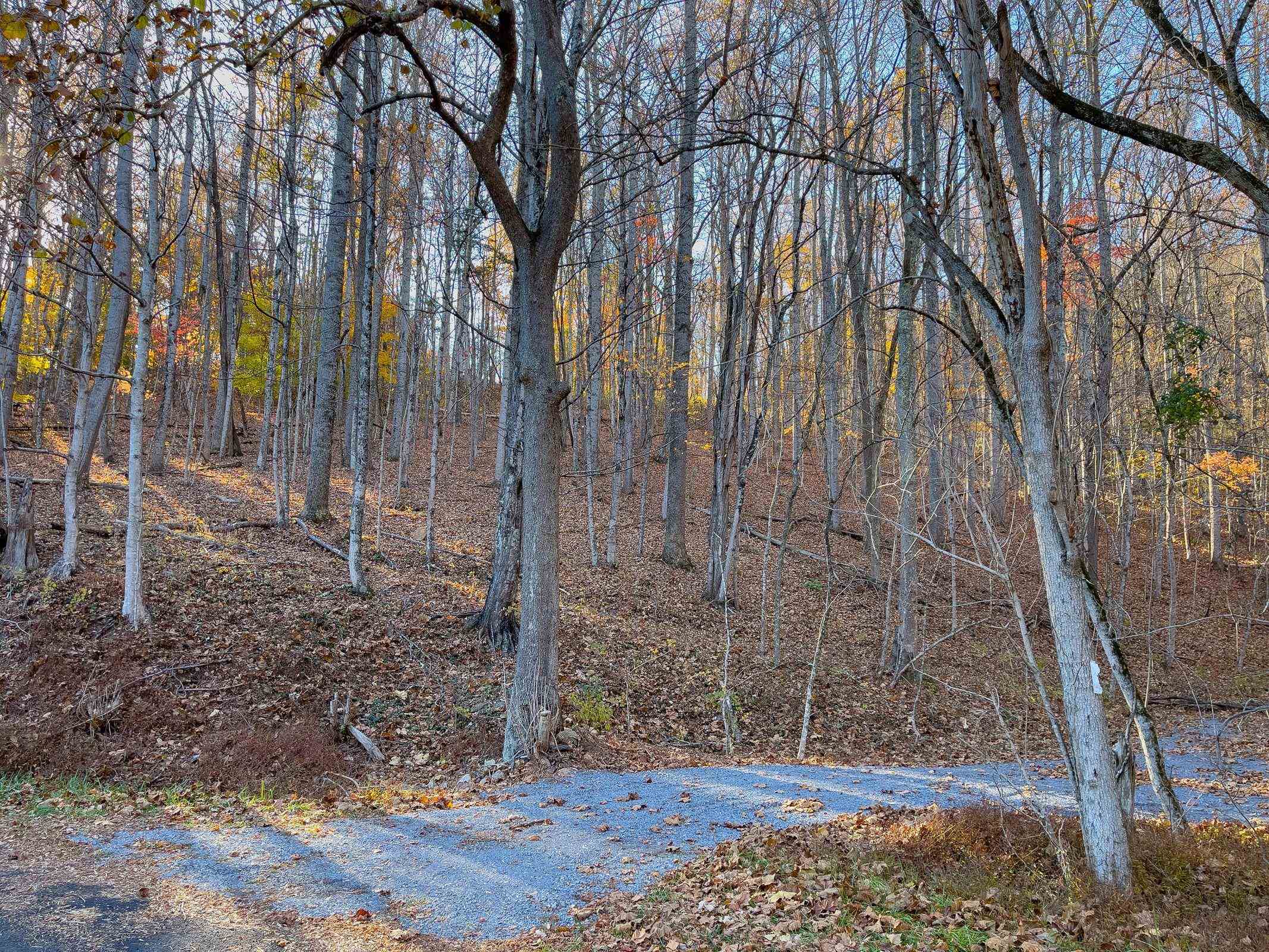 Tbd Jacktown Road Goshen, VA 24439 - Photo 5 of 9 Gallery Image 5