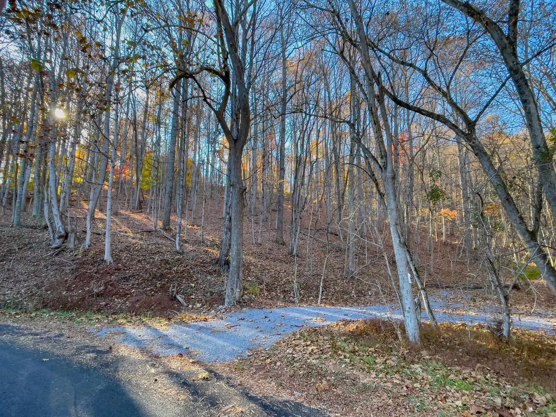 Tbd Jacktown Road Goshen, VA 24439 - Photo 6 of 9 Gallery Image 6