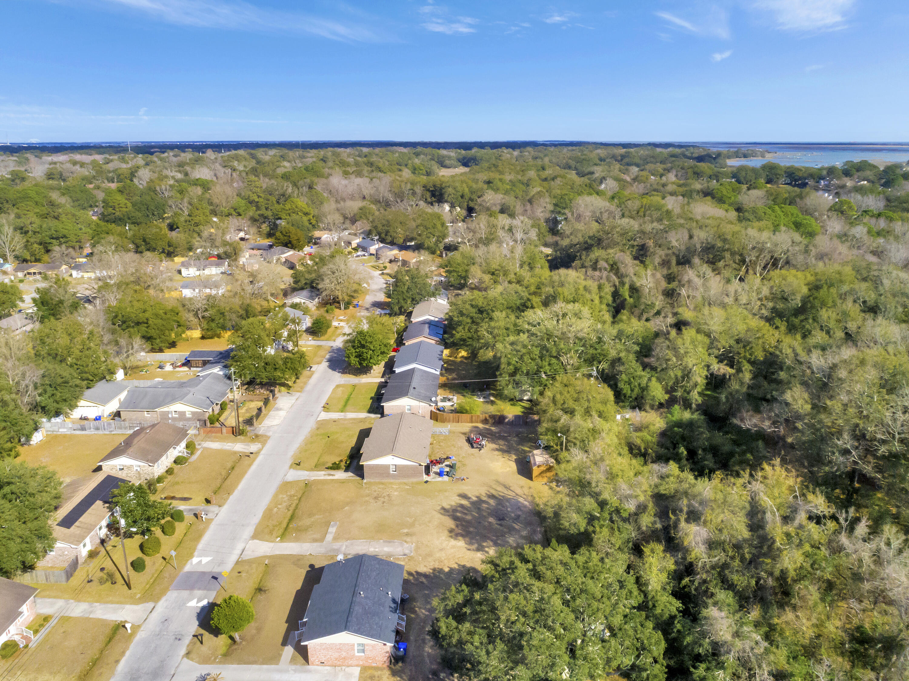 1555 Seacroft Road Charleston, SC 29412 - Photo 6 of 9 DJI_0154