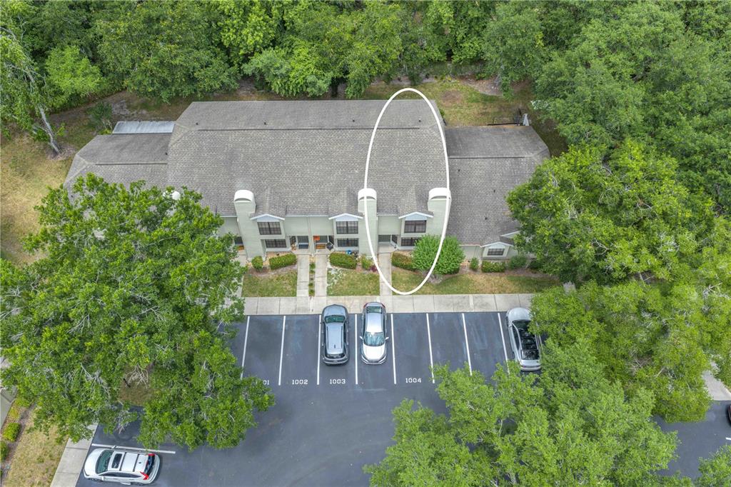 5100 Burchette Road, Unit 1004 Tampa, FL 33647 - Photo 27 of 29