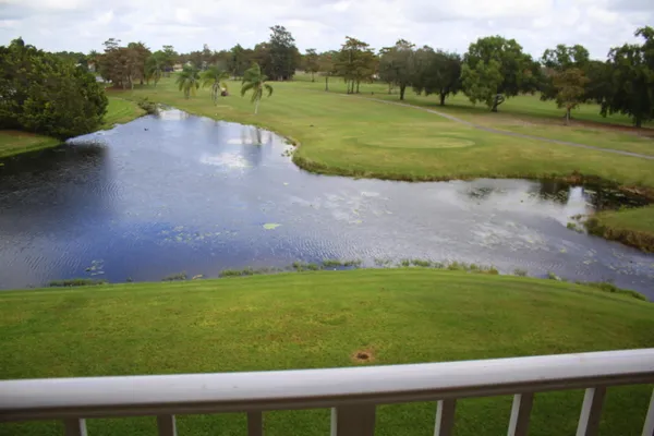 a view of a yard with a garden