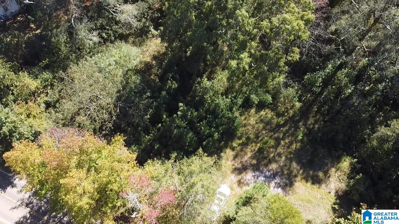 0 Odens Mill Road Sylacauga, AL 35151 - Photo 9 of 23