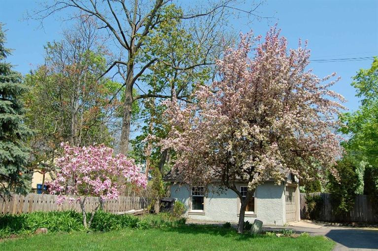 1055 Ferdon Road Ann Arbor, MI 48104 - Photo 42 of 43 Photo 42