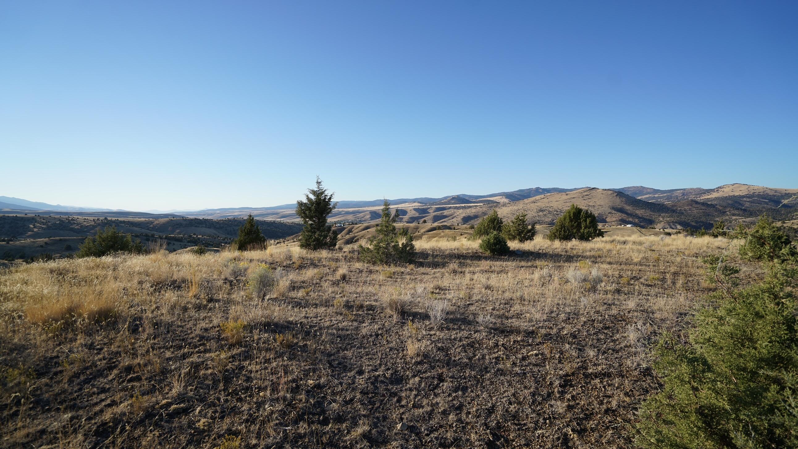 Laycock Road Mount Vernon, OR 97865 - Photo 13 of 16 DSC02903