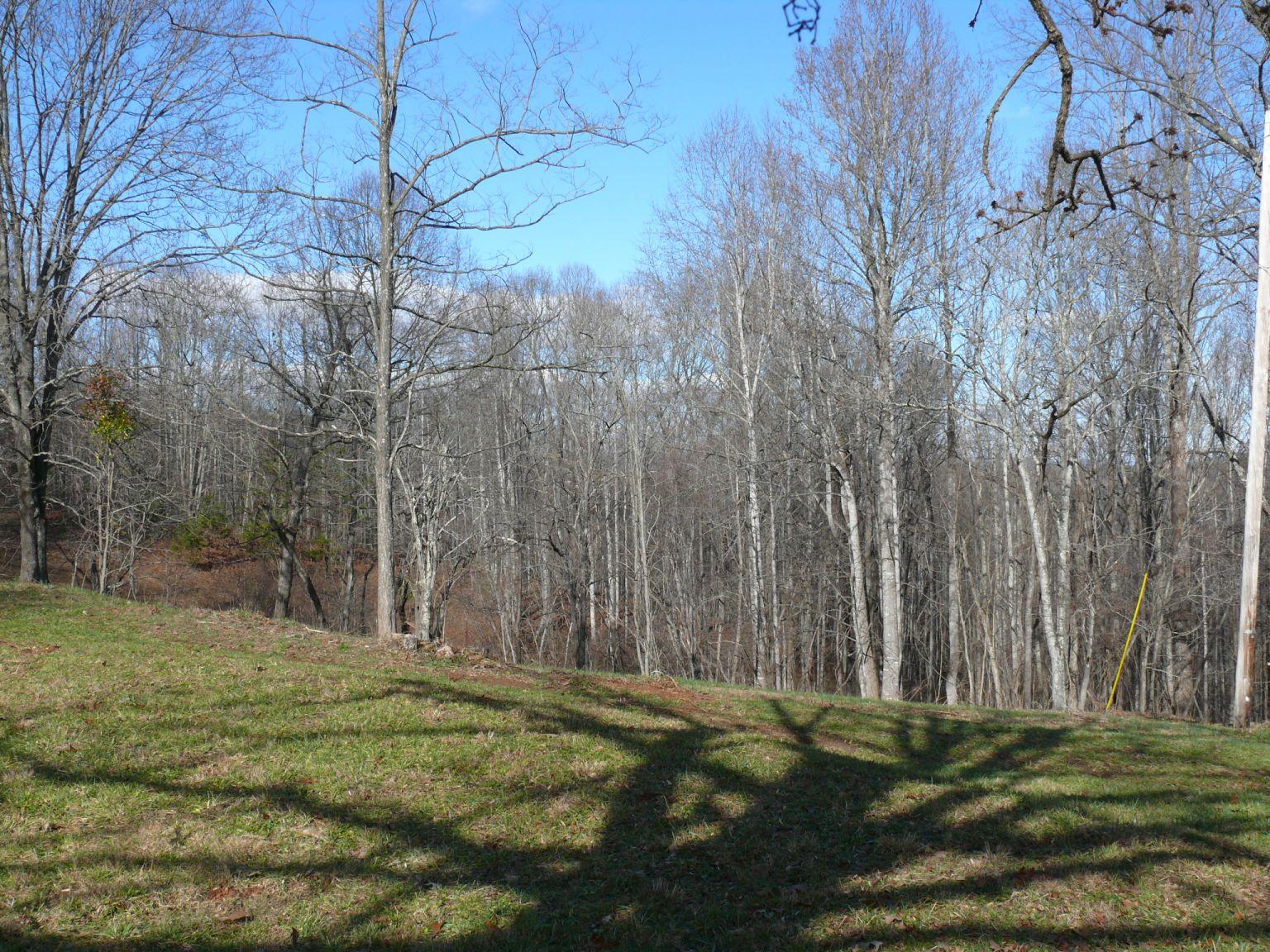 409 Republican Church Road Ferrum, VA 24088 - Photo 25 of 28 a backyard of a house with lots of green space