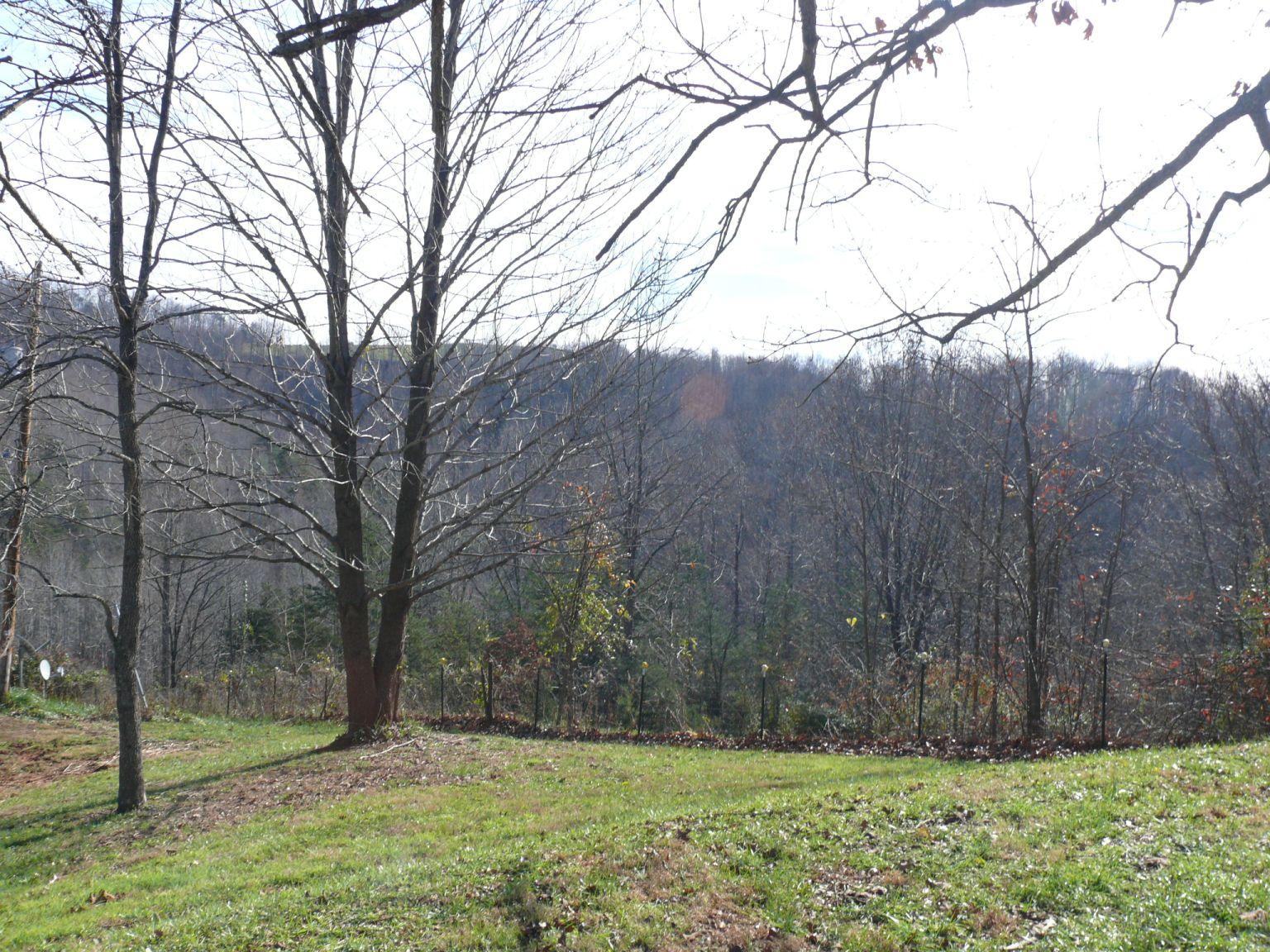 409 Republican Church Road Ferrum, VA 24088 - Photo 26 of 28 a view of backyard with barn and large trees