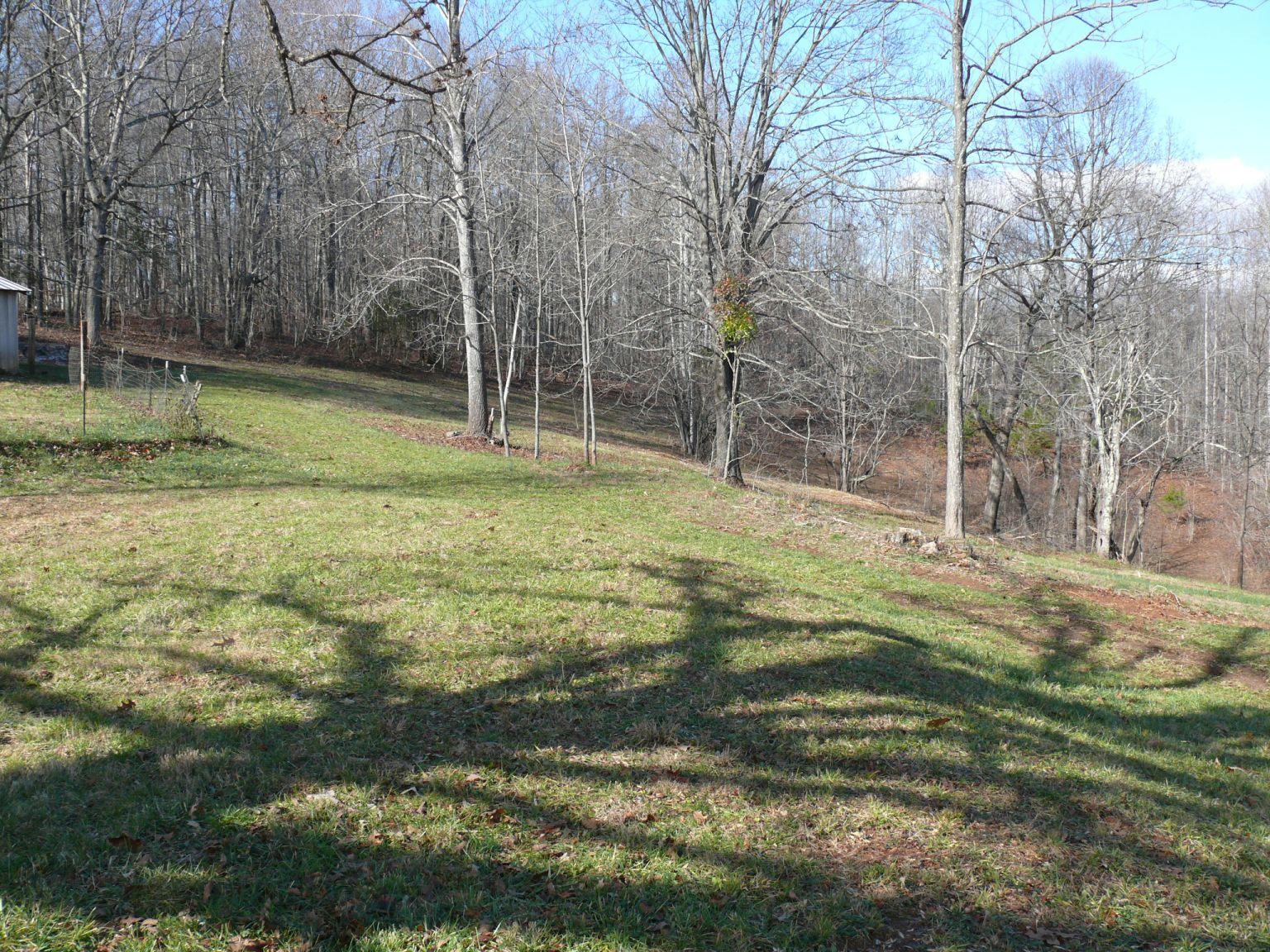 409 Republican Church Road Ferrum, VA 24088 - Photo 27 of 28 a view of a yard with a tree