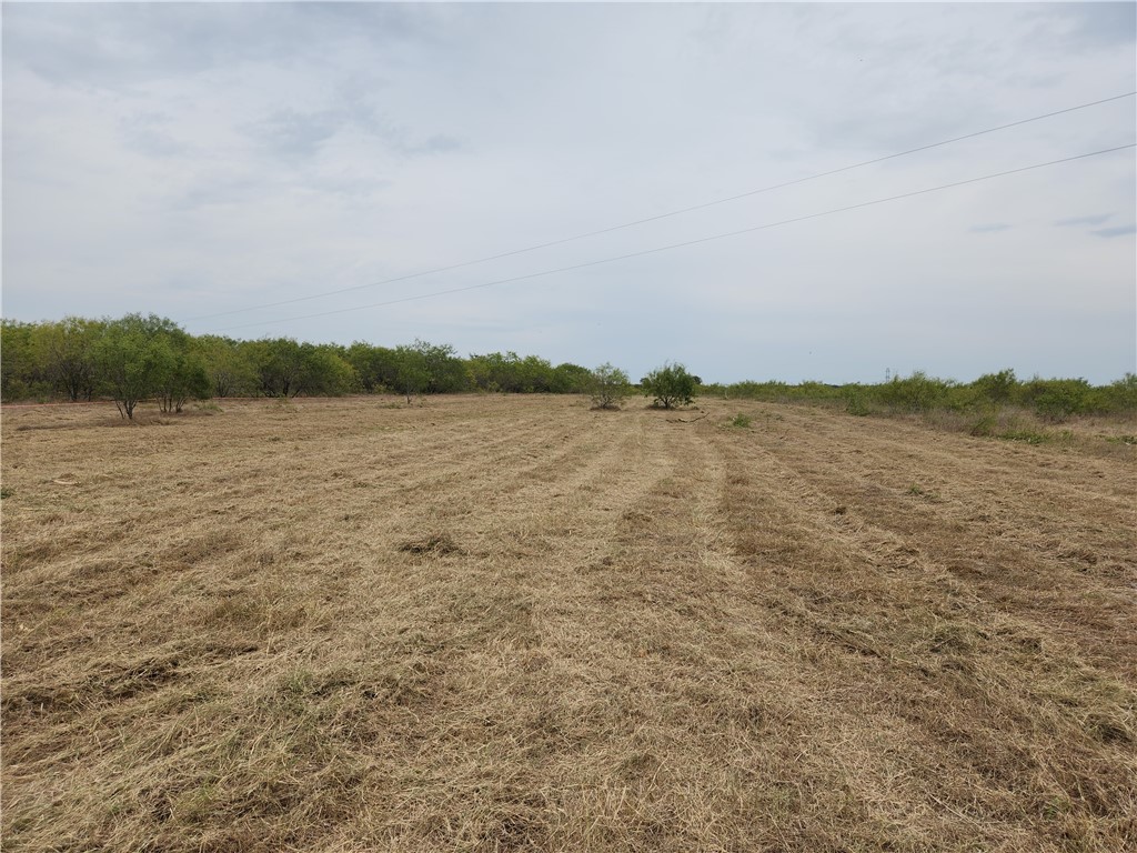 0 Balch Road, Unit LOT 12 Elgin, TX 78621 - Photo 1 of 1