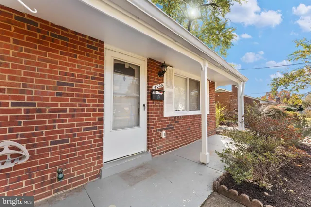 a view of road with large trees