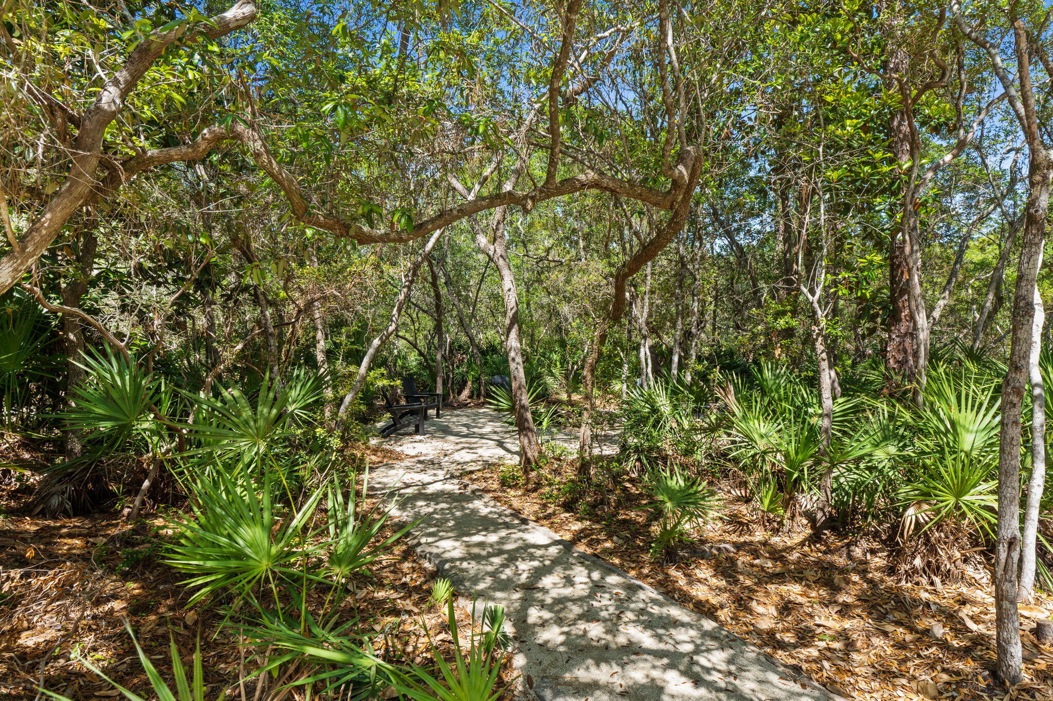364 Amelia Lane Santa Rosa Beach, FL 32459 - Photo 73 of 95 15-web-or-mls-FDP04465