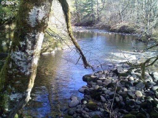 7310 Alvord Alley Grand Ronde, OR 97347 - Photo 3 of 3 a view of a tree with a yard