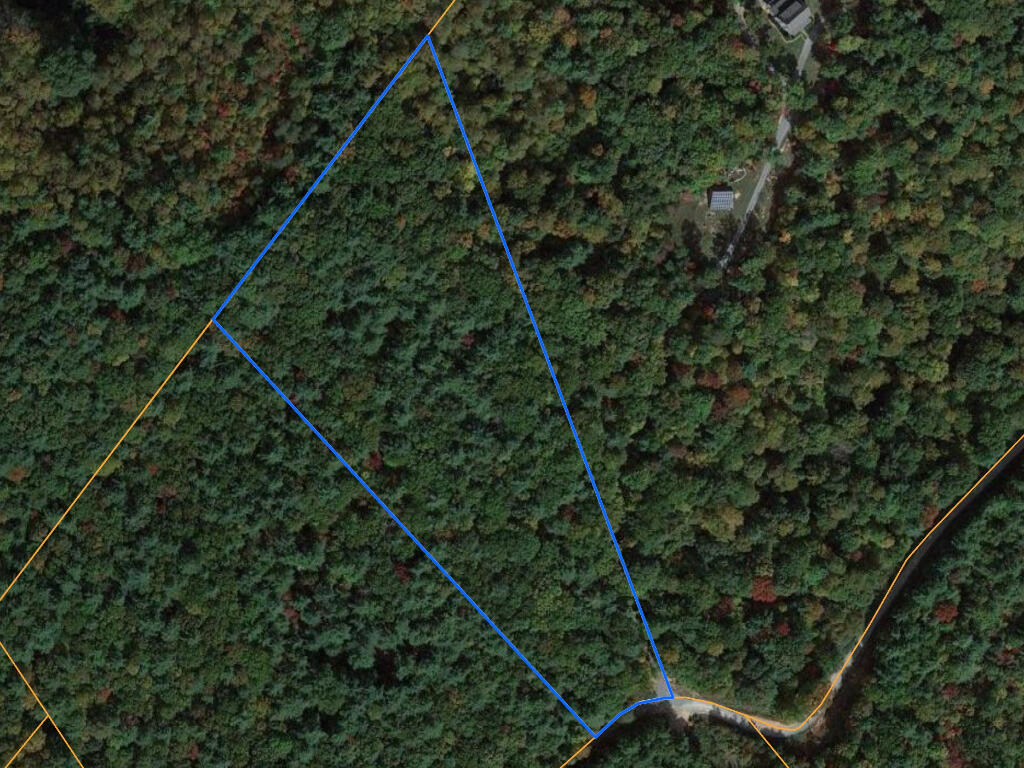 0 Ridgetop Cabin Lane Ferrum, VA 24088 - Photo 1 of 5 a picture of a tree in a forest