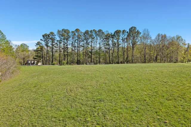 a view of a field with trees in the background