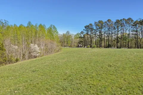a view of a field with trees in the background